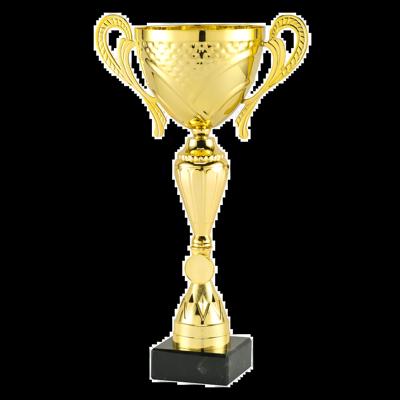 Sportprijzen Leiden Trofee MT.145