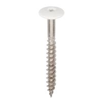 Torx schroef RVS 45 mm Wit - Heering (2895)