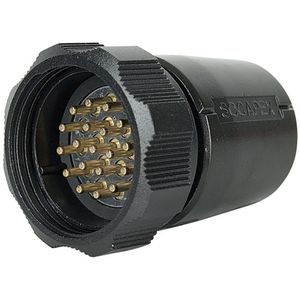 Socapex male connector