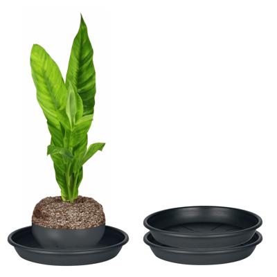 Plantenschotel - 2x - zwart - kunststof - Dia 20 cm - onderschotel/opvangschaal