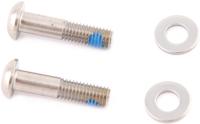 SRAM Mount.screw st.steel 22mm,pair,f.flat mount
