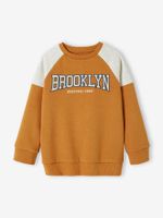 Jongenssweater met colourblock en team Brooklyn opdruk pecannoot - thumbnail