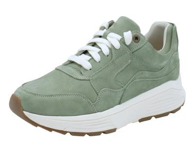 Xsensible Golden Gate