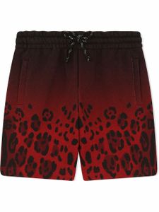 Dolce & Gabbana Kids short à imprimé léopard - Noir