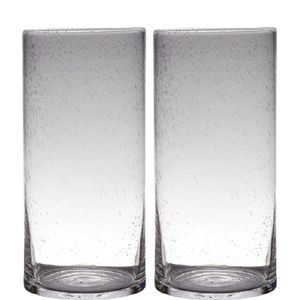 Set van 2x stuks transparante home-basics cylinder vorm vaas/vazen van bubbel glas 40 x 19 cm