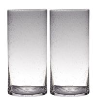 Set van 2x stuks transparante home-basics cylinder vorm vaas/vazen van bubbel glas 40 x 19 cm