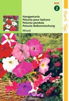 Petunia Pendula Gemengd - Hortitops