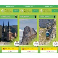 Wandelkaart 10 Parques Nacionales Picos de Europa Parque National | CNIG - Instituto Geográfico Nacional - thumbnail