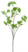 Gingko branche green 126 cm kunstbloem - Nova nature