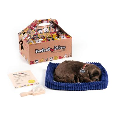 Perfect Petzzz soft chocolate labrador