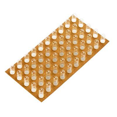 Spruyt Hillen Capsule op kaart nr. 2 50 stuks Feton/Loetschert