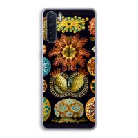 Haeckel Ascidiae: Oppo A91 Transparant Hoesje