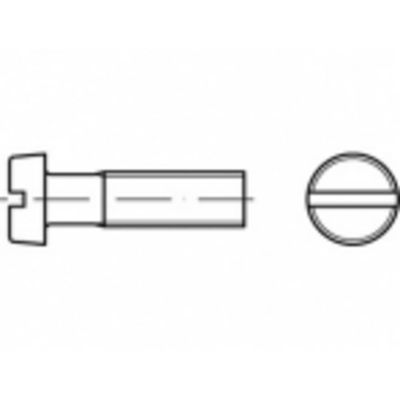 TOOLCRAFT TO-5384949 Cilinderkopschroeven M8 10 mm Sleuf 500 stuk(s)