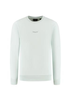 Ballin Zomer sweater jongens - licht groen - Botanic identity