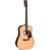 Sigma Guitars SDR-41SP All Solid akoestische westerngitaar met softcase