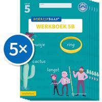 Schrijfbaas Blokletters Werkboek 5B (Set van 5) (Paperback)