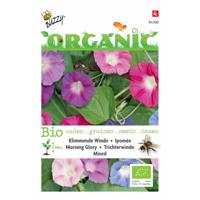 5 stuks Organic Ipomoea purpurea mix (Skal 14275) - thumbnail