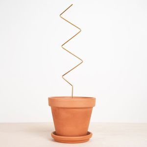 Plantensteun Zigzag
