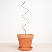 Plantensteun Zigzag