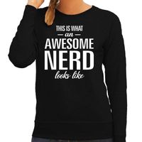 Awesome / geweldige nerd cadeau sweater / trui zwart dames - thumbnail