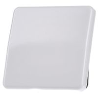 CD 590 WW  - Cover plate for switch/push button white CD 590 WW