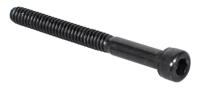 Fender Outlet 0075394000