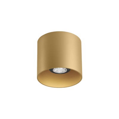 Wever & Ducre - RAY 1.0 PAR16 Plafondlamp