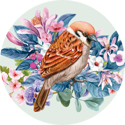 Vinyl tapijt met ronde vogels