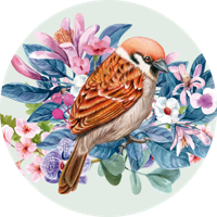 Vinyl tapijt met ronde vogels