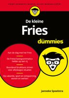 De kleine Fries voor Dummies - Janneke Spoelstra - ebook