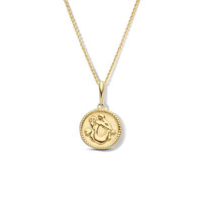 Minimalistische sterrenbeeld ketting - 14K GOUD - Aquarius - waterman - Goud