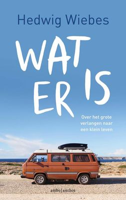 Wat er is - Hedwig Wiebes - ebook
