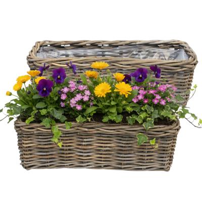 VD Leeden Plantenmand Klassiek - 2x - bruin - rechthoek?- 60 x 23 x 20 cm - rotan - gevlochten riet