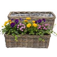 VD Leeden Plantenmand Klassiek - 2x - bruin - rechthoek?- 60 x 23 x 20 cm - rotan - gevlochten riet