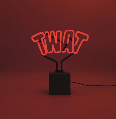 Neon &apos;Twat&apos; Sign (Op Betonnen Basis) - Red