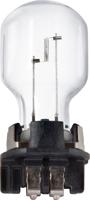 Philips lamp met kunststoffitting "pw24w" light bulbs, turn signal 12v