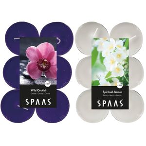 Candles by Spaas geurkaarsen - 24x stuks in 2 geuren Jasmin en Wild Orchid