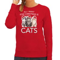 Kitten Kerst sweater / outfit All I want for Christmas is cats rood voor dames