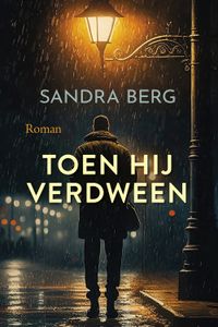 Toen hij verdween - Sandra Berg - ebook