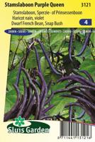 Stamslaboon Purple Queen