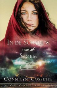 In de schaduw van de storm - Connilyn Cossette - ebook