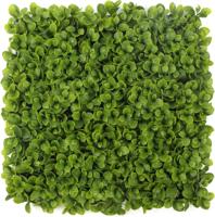 Kunstplantenwand FOLY Peperomia 1 m2