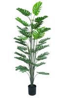Monstera kunstplant 160 cm - tropisch Zuid-Amerika