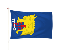 Vlag Lieshout