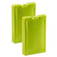 Koelelementen van 1000 gram - 2x stuks - groen - 22 x 14.5 x 3.5 cm - voor koeltas en koelbox