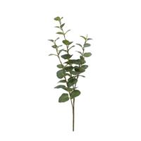 Kunstblad eucalyptus Cinerea groen S
