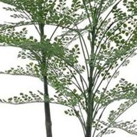 Maidenhair fern Cuba in pot green 140 cm kunstbloem Erutan Avon - Erutan avon