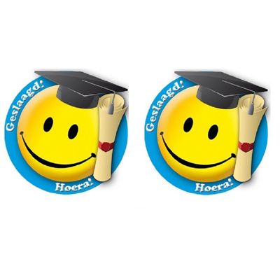 2x stuks geslaagd thema decoratie borden 49 cm