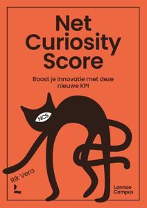 Net Curiosity Score - Rik Vera - ebook