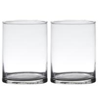 Hakbijl Glass Bloemenvaas - Set van 2x stuks - cilinder vorm - glas - transparant - D12 x H20 cm - B